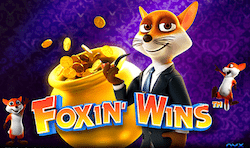 Foxin Wins