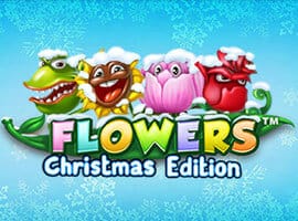 Flowers Christmas Edition