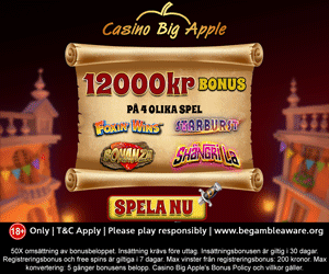 Casino Big Apple erbjudande