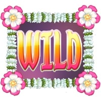 Bollywood Story Wild