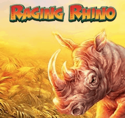 Raging Rhino