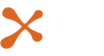 XPG XPG