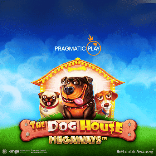 the dog house megaways